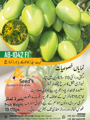 AB-1042 F1 hybrid tomato