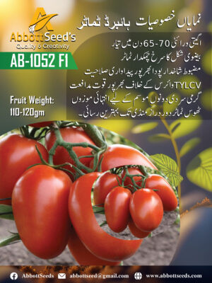 AB-1052 F1 Hybrid Tomato