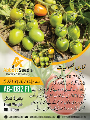 AB-1082 F1 Hybrid Tomato Abbott Seeds
