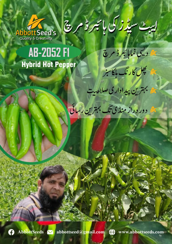 AB-2052 F1 Hybrid Chili