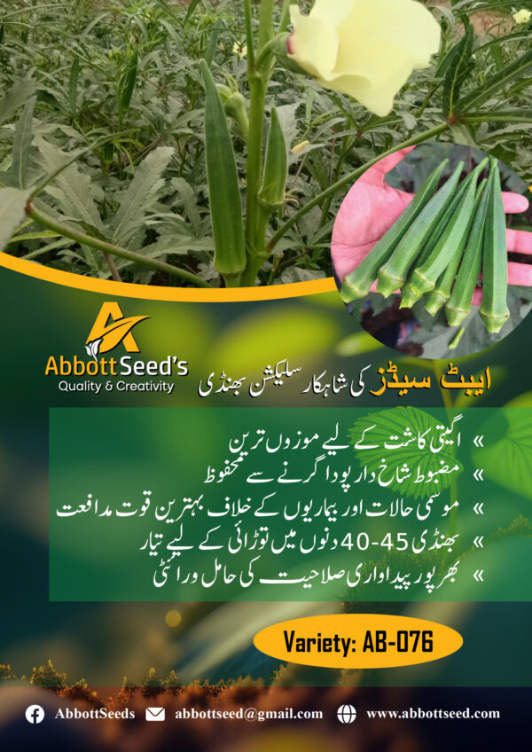 AB-076 Okra