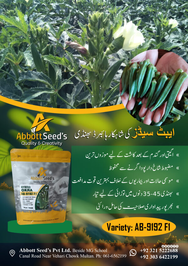 AB-9192 F1 Hybrid Okra